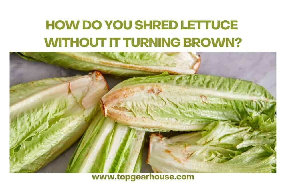 How do you Shred Lettuce without it turning Brown